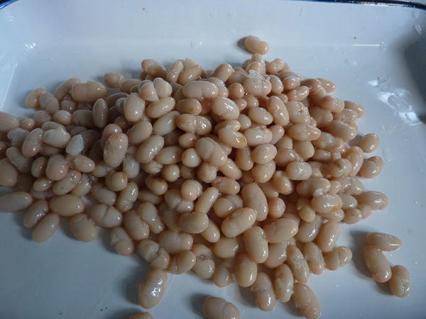 White Kidney Bean in Brine